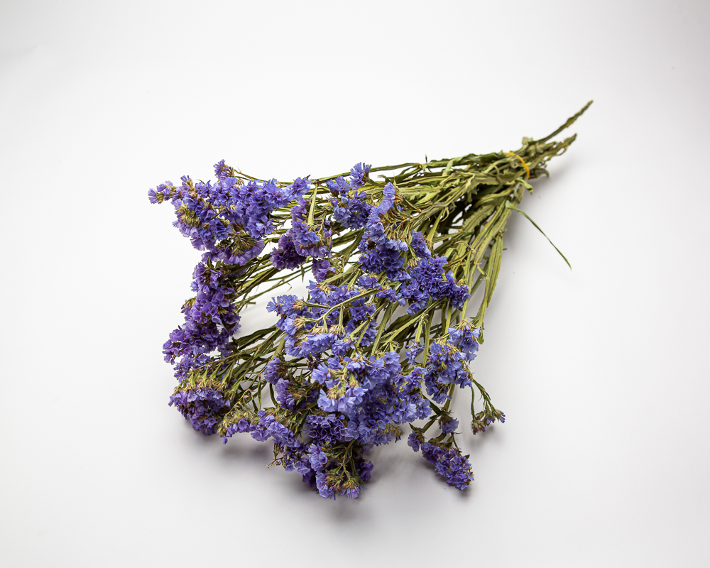 Limonium blue