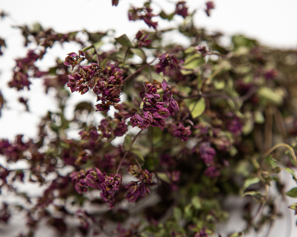 Dried Oregano