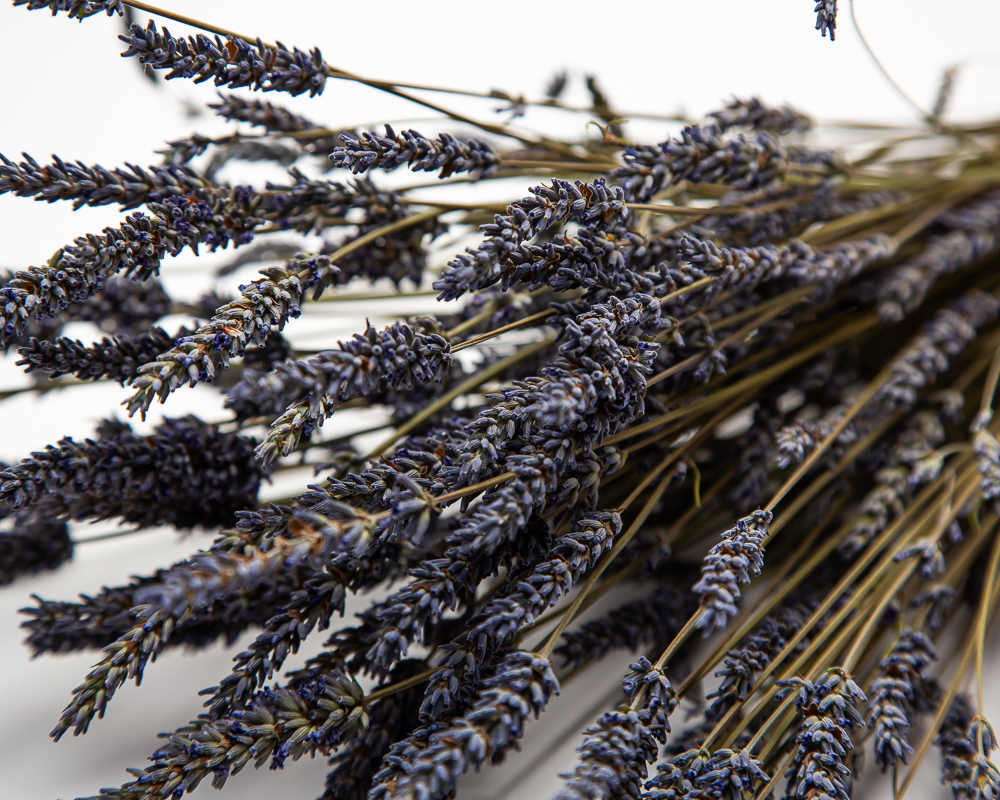 Dried British Lavender